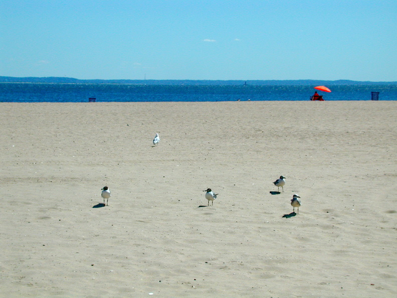 Coney Island, Brooklyn. August 6, 2002.