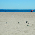 Coney Island, Brooklyn. August 6, 2002.