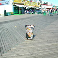 Coney Island, Brooklyn. August 6, 2002.