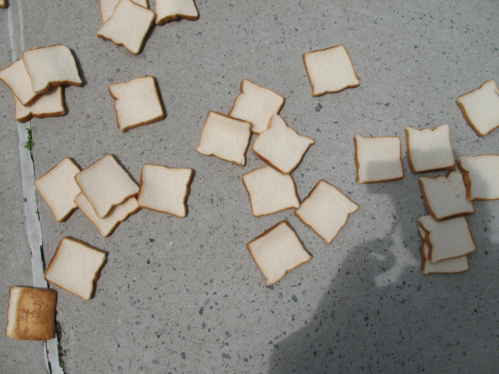 A Field of Dead Bread