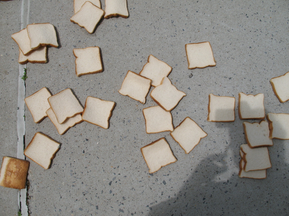 A Field of Dead Bread