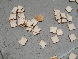 A Field of Dead Bread