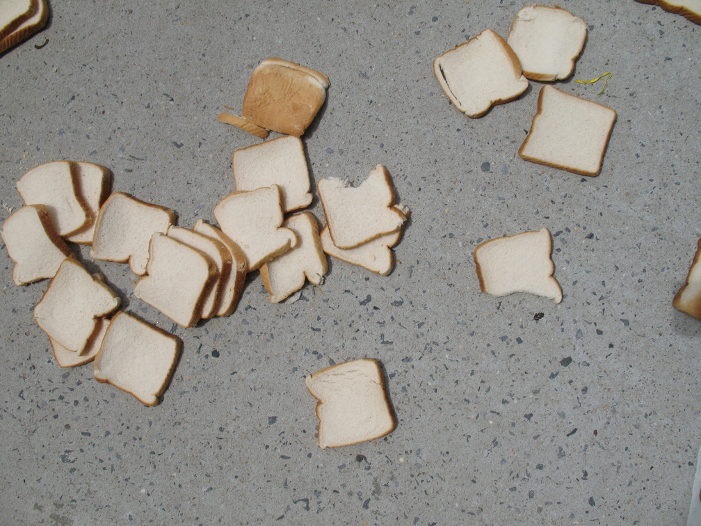 A Field of Dead Bread