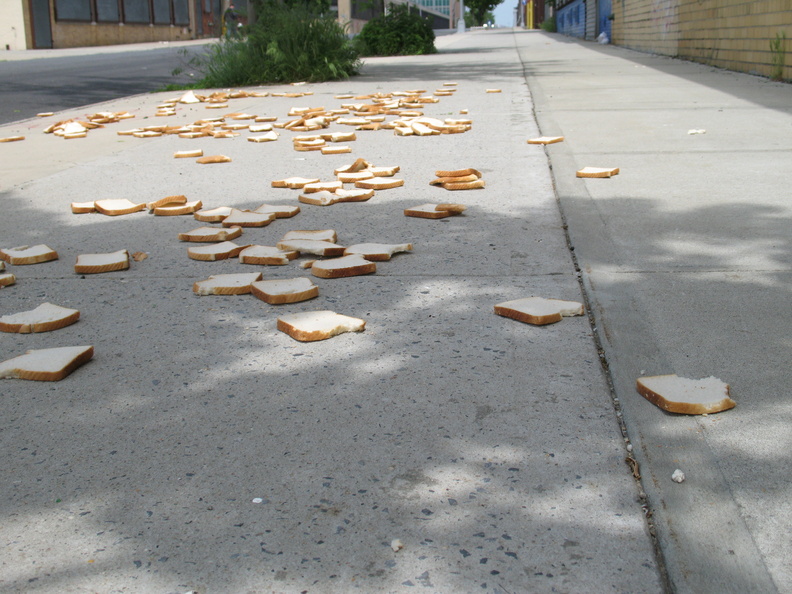 A Field of Dead Bread