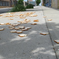 A Field of Dead Bread