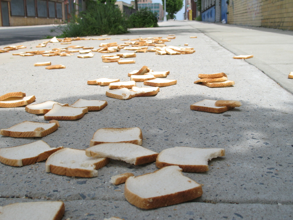 A Field of Dead Bread