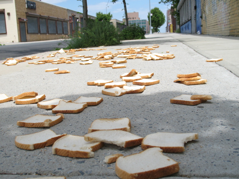 A Field of Dead Bread