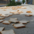 A Field of Dead Bread