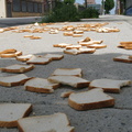 A Field of Dead Bread