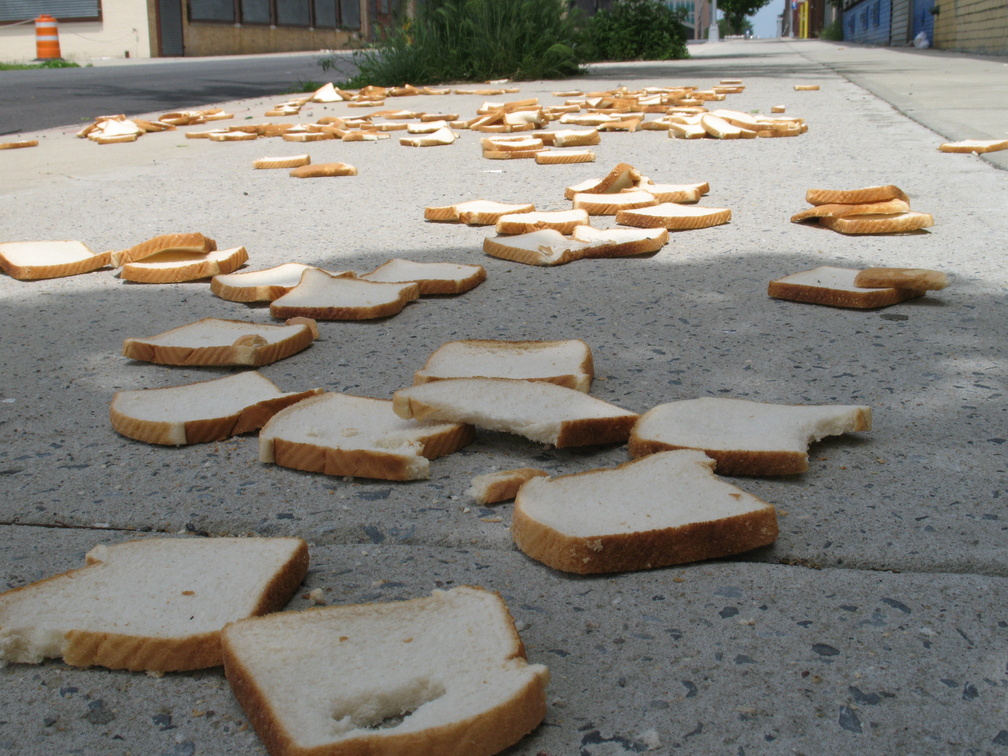 A Field of Dead Bread