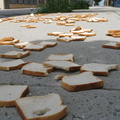 A Field of Dead Bread