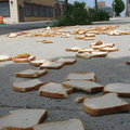 A Field of Dead Bread