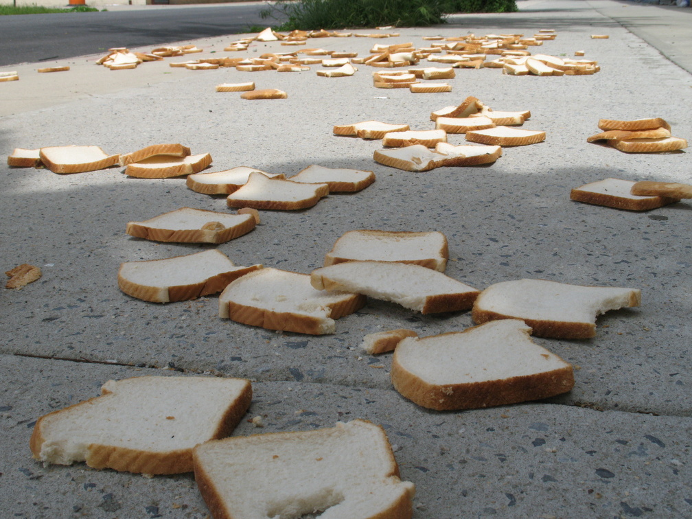 A Field of Dead Bread