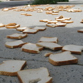 A Field of Dead Bread