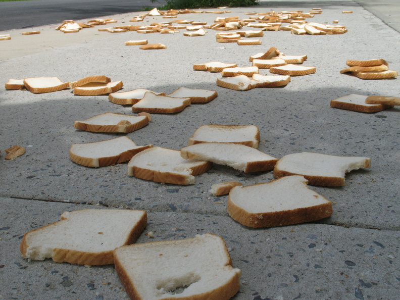 A Field of Dead Bread