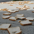 A Field of Dead Bread