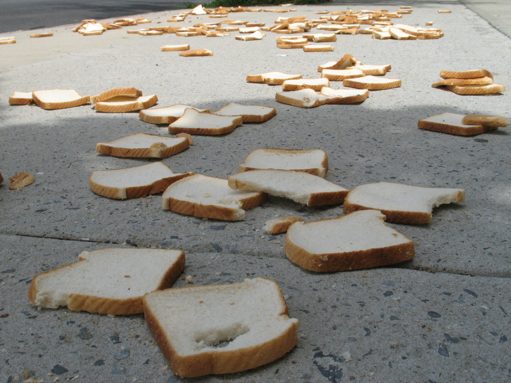 A Field of Dead Bread