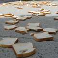 A Field of Dead Bread