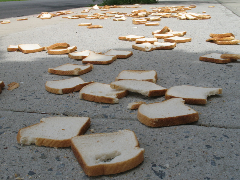 A Field of Dead Bread