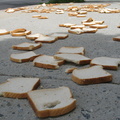 A Field of Dead Bread