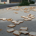 A Field of Dead Bread