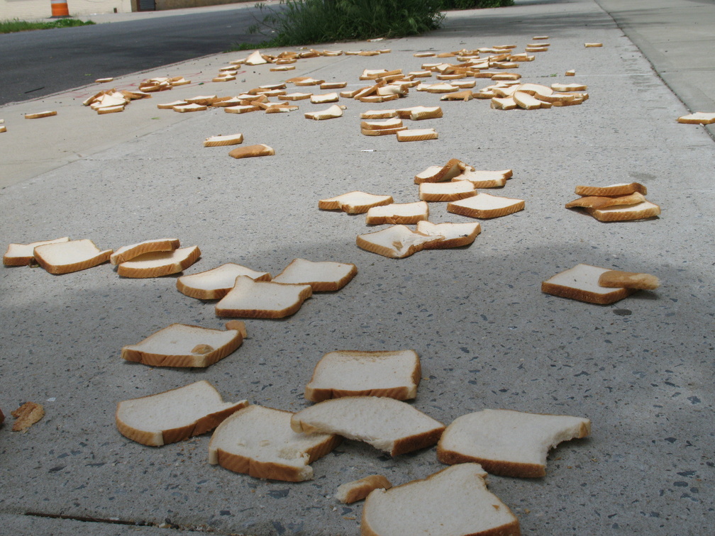 A Field of Dead Bread