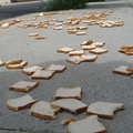 A Field of Dead Bread