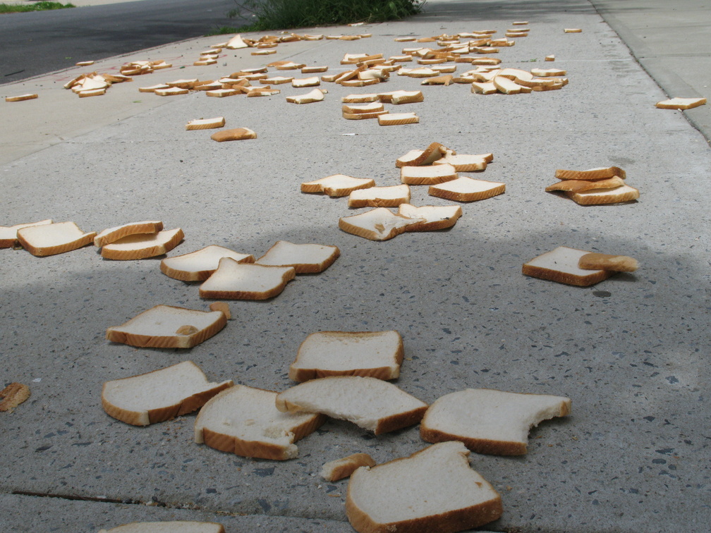 A Field of Dead Bread