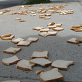 A Field of Dead Bread