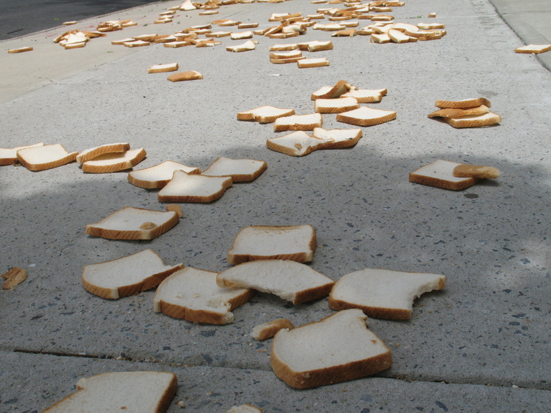 A Field of Dead Bread