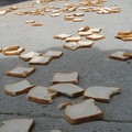 A Field of Dead Bread