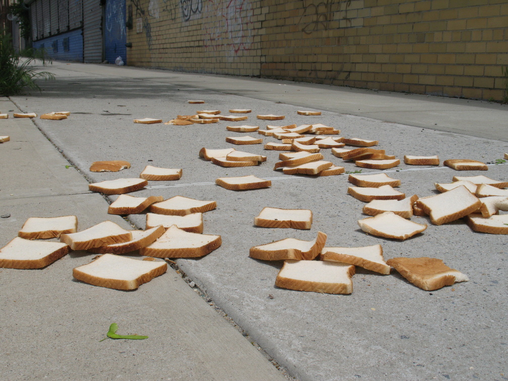 A Field of Dead Bread