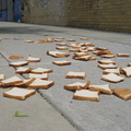 A Field of Dead Bread