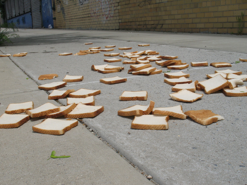 A Field of Dead Bread