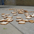 A Field of Dead Bread