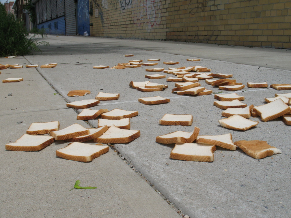 A Field of Dead Bread