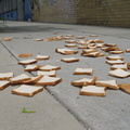 A Field of Dead Bread