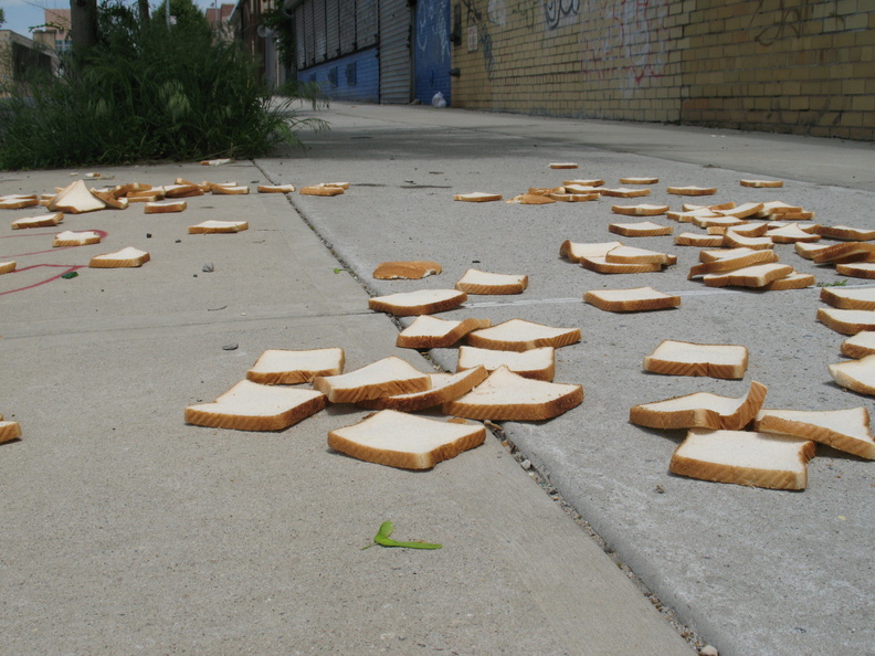 A Field of Dead Bread