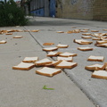 A Field of Dead Bread