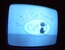 NYC Public Access Television Screenshots January 2006