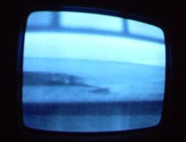 NYC Public Access Television Screenshots January 2006