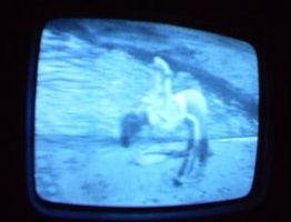 NYC Public Access Television Screenshots January 2006