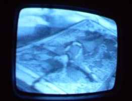NYC Public Access Television Screenshots January 2006
