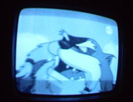 NYC Public Access Television Screenshots January 2006