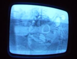 NYC Public Access Television Screenshots January 2006