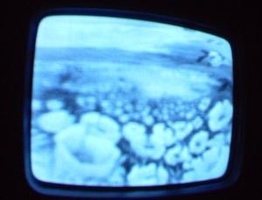 NYC Public Access Television Screenshots January 2006