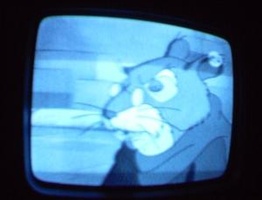 NYC Public Access Television Screenshots January 2006