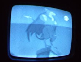 NYC Public Access Television Screenshots January 2006