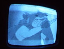 NYC Public Access Television Screenshots January 2006