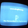 NYC Public Access Television Screenshots January 2006